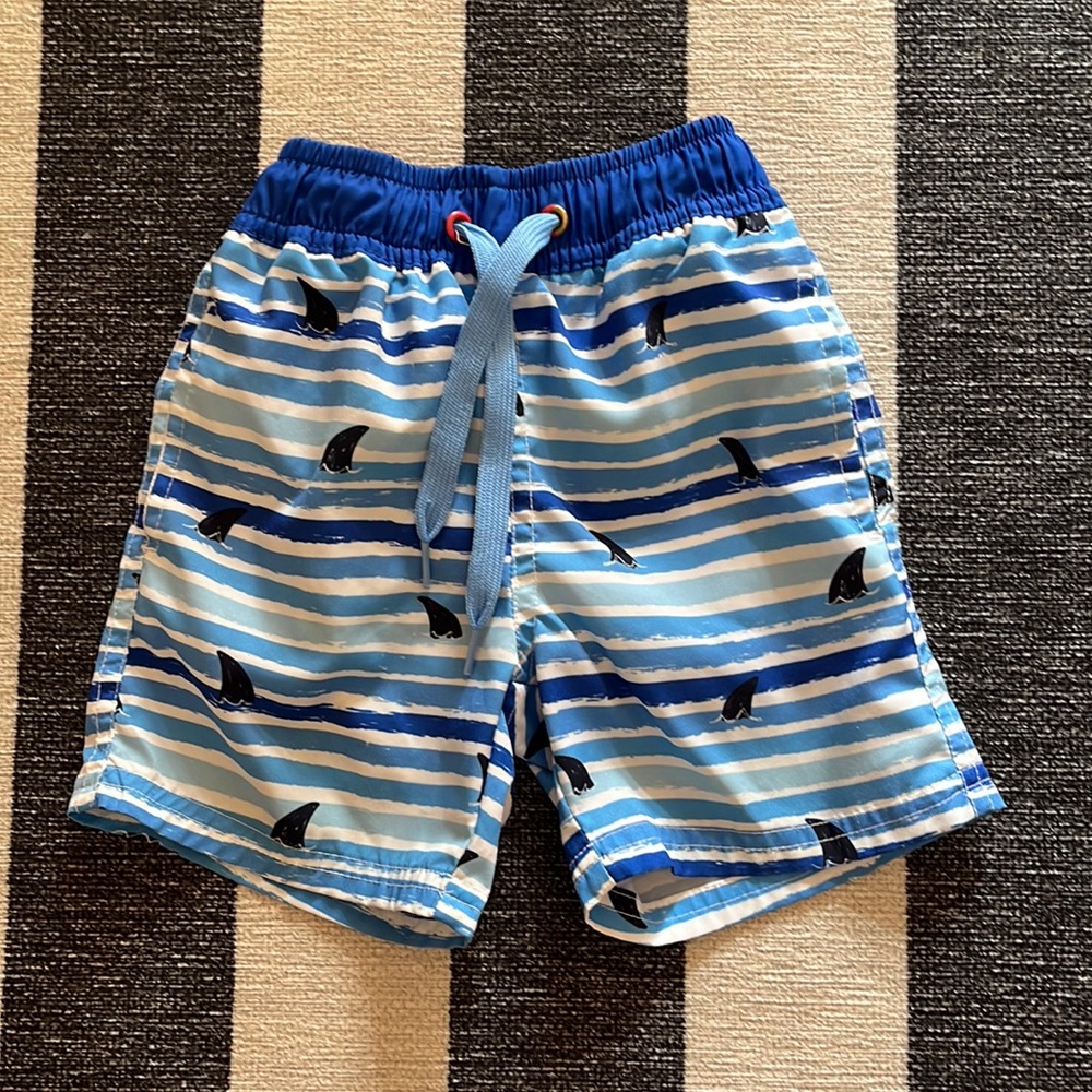 EGG NY boys swim trunks